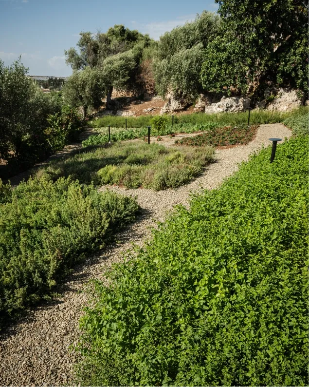 La Tenuta