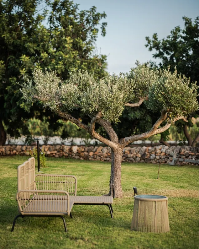 La Tenuta