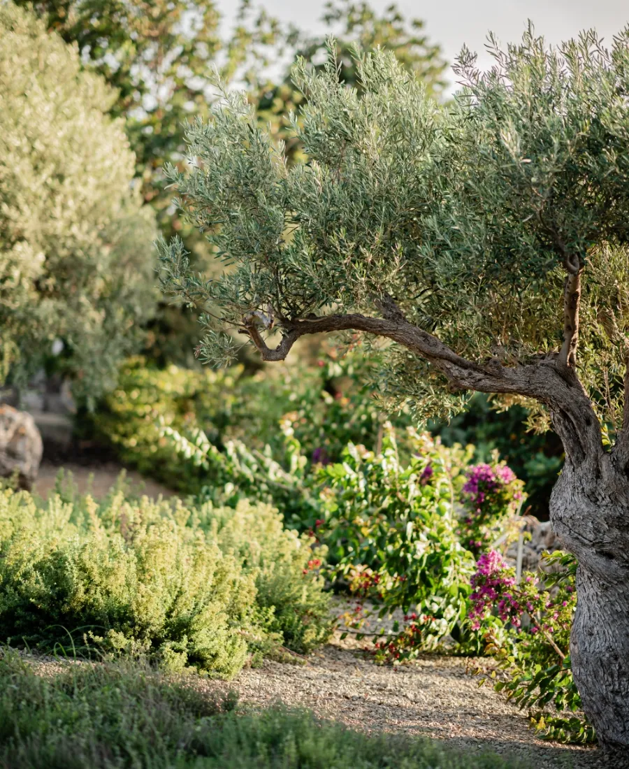 La Tenuta